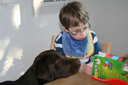 Junge mit Therapiehund Yasko in der Logopädischen Praxis Christine Amerbacher (früher Winkler) Nied